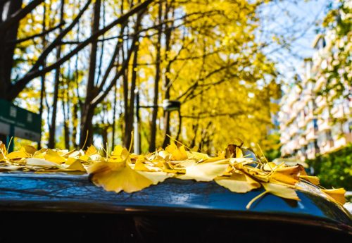 Windows 10 桌面图标右键 资源管理未响应问题解决办法