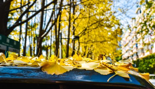 Windows 10 桌面图标右键 资源管理未响应问题解决办法