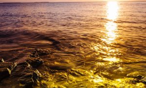 WordPress 图片路径有i0.wp.com，导致图片加载很慢原因