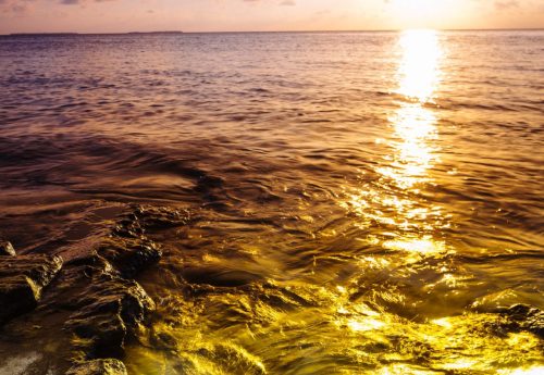 WordPress 图片路径有i0.wp.com，导致图片加载很慢原因