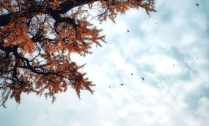 hexo 迁移到树莓派遇到大坑