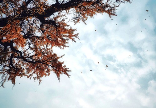 hexo 迁移到树莓派遇到大坑