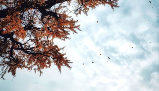 hexo 迁移到树莓派遇到大坑