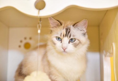 树莓派4B 4G安装docker