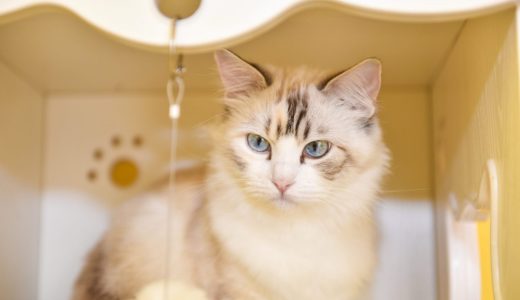 树莓派4B 4G安装docker