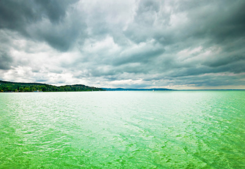 Nginx 配置多个网站