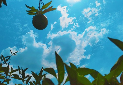 hexo配置robots.txt