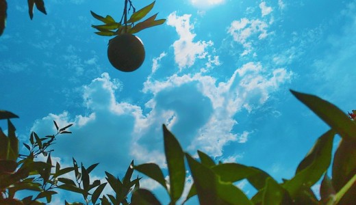 hexo npm  软件更新