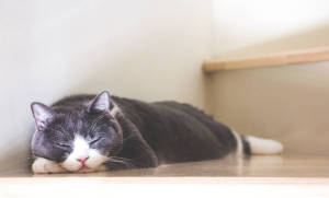 树莓派如何把TF卡迁移到另外一张TF卡（内存卡）