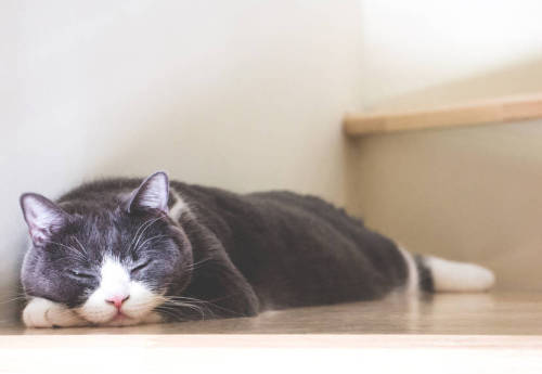 树莓派如何把TF卡迁移到另外一张TF卡（内存卡）