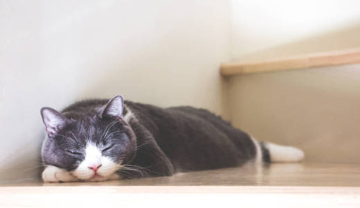 树莓派如何把TF卡迁移到另外一张TF卡（内存卡）