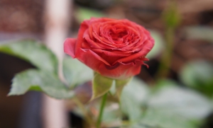 为什么有的人下班后还能学习？？