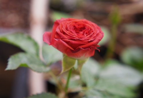 为什么有的人下班后还能学习？？