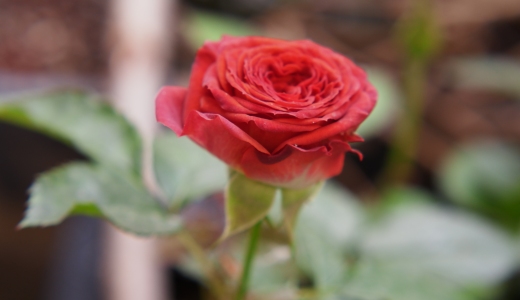 为什么有的人下班后还能学习？？