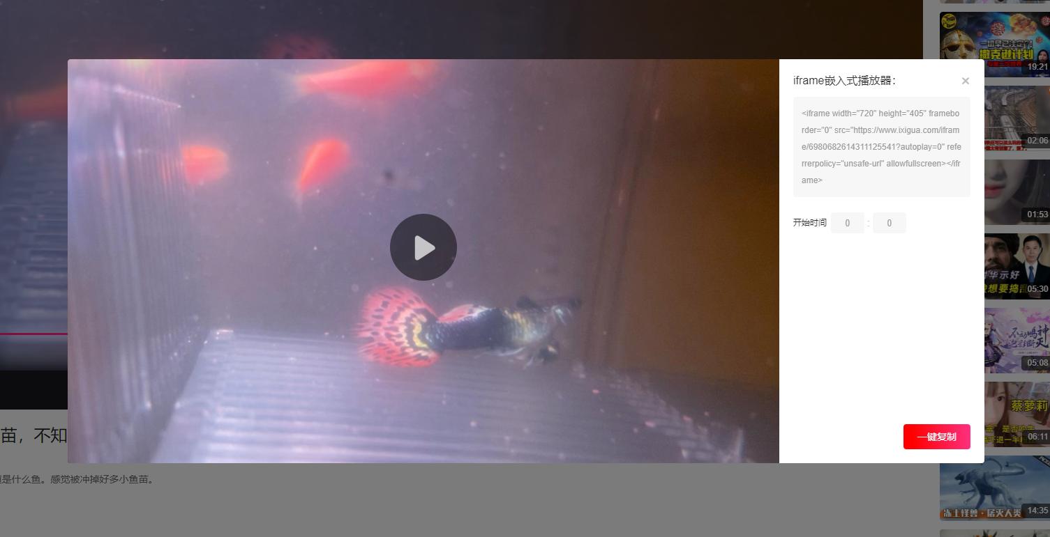 WordPress插入今日头条视频