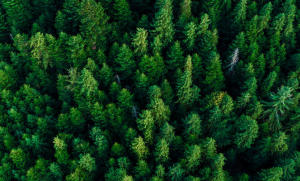 记录几年前面试的内容