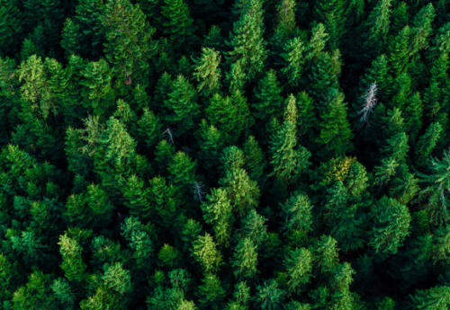 测试用例的基本概念（一）