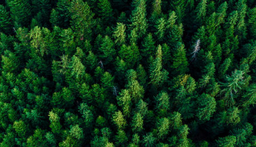 NextCloud搭建和优化（未解决问题）集合