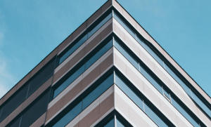 Java 从json文件读取字段的值，并写入其他文件