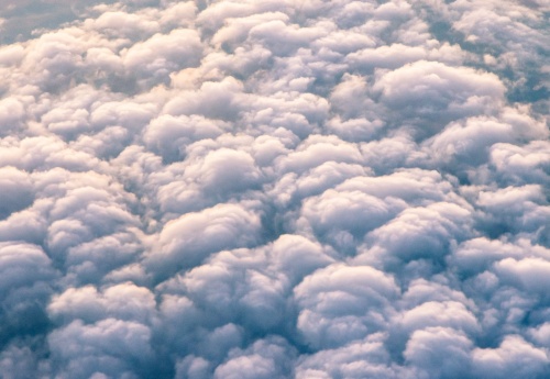 如何在stable-diffusion-webui中启用中文界面