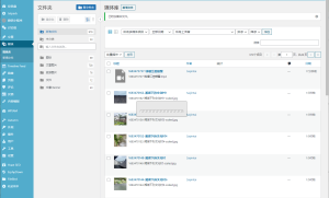 记录下解决WordPress媒体库一直加载中的问题