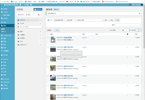 记录下解决WordPress媒体库一直加载中的问题