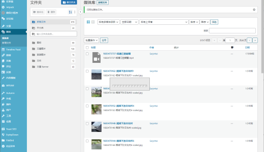 记录下解决WordPress媒体库一直加载中的问题