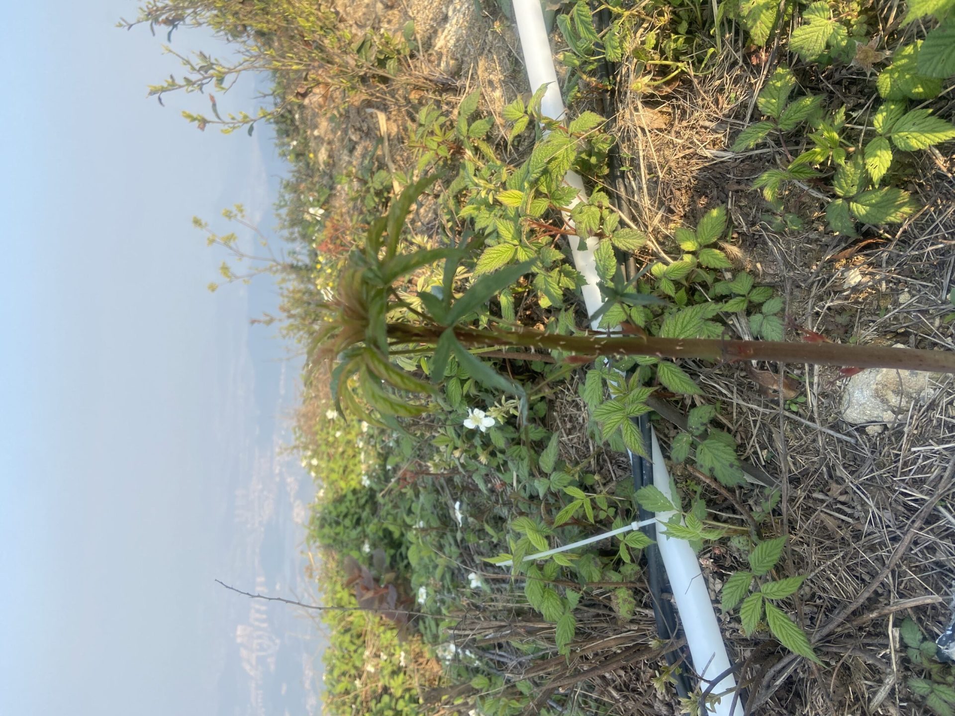 杭州萧山同盘顶