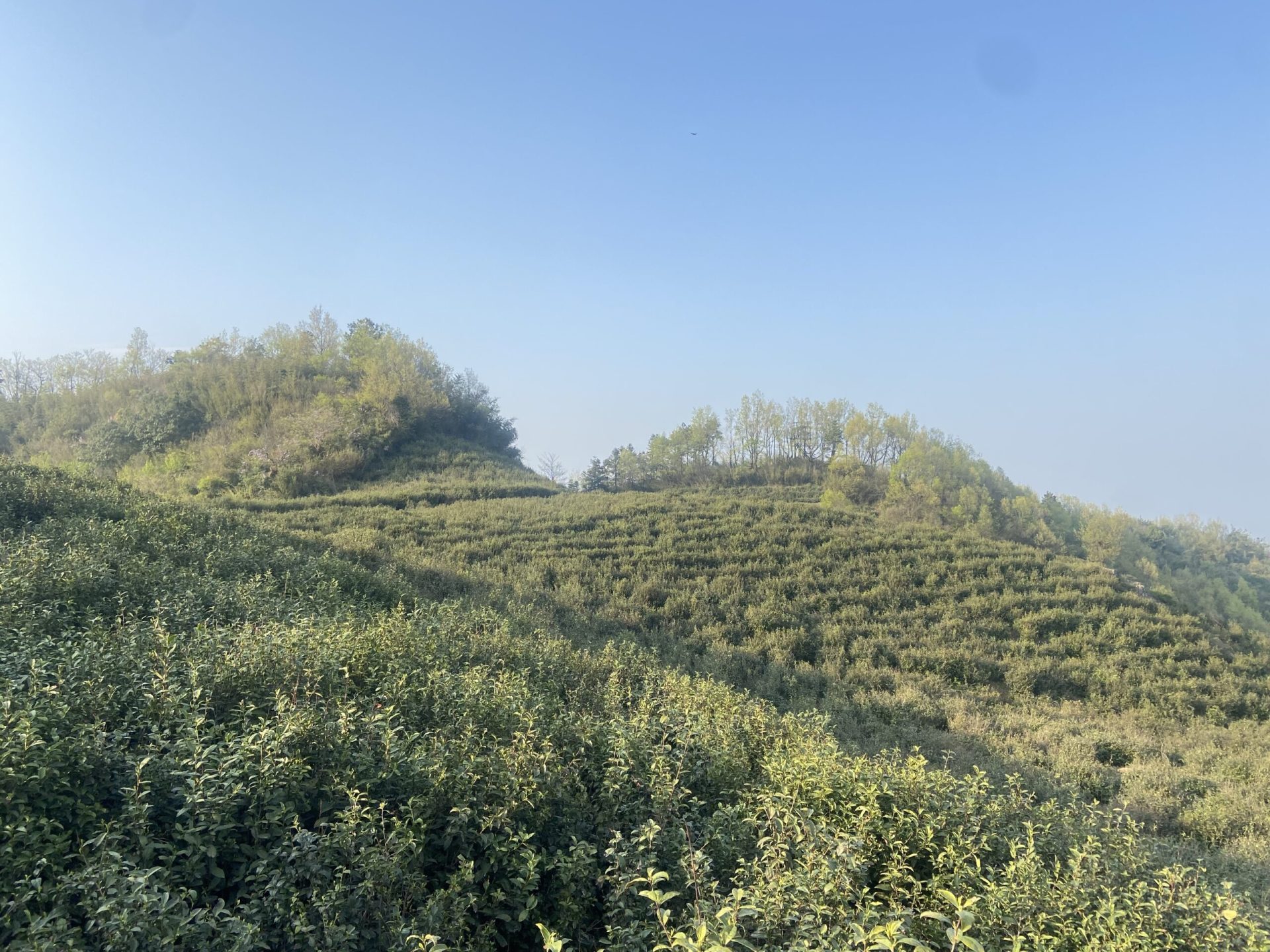 杭州萧山同盘顶 露营