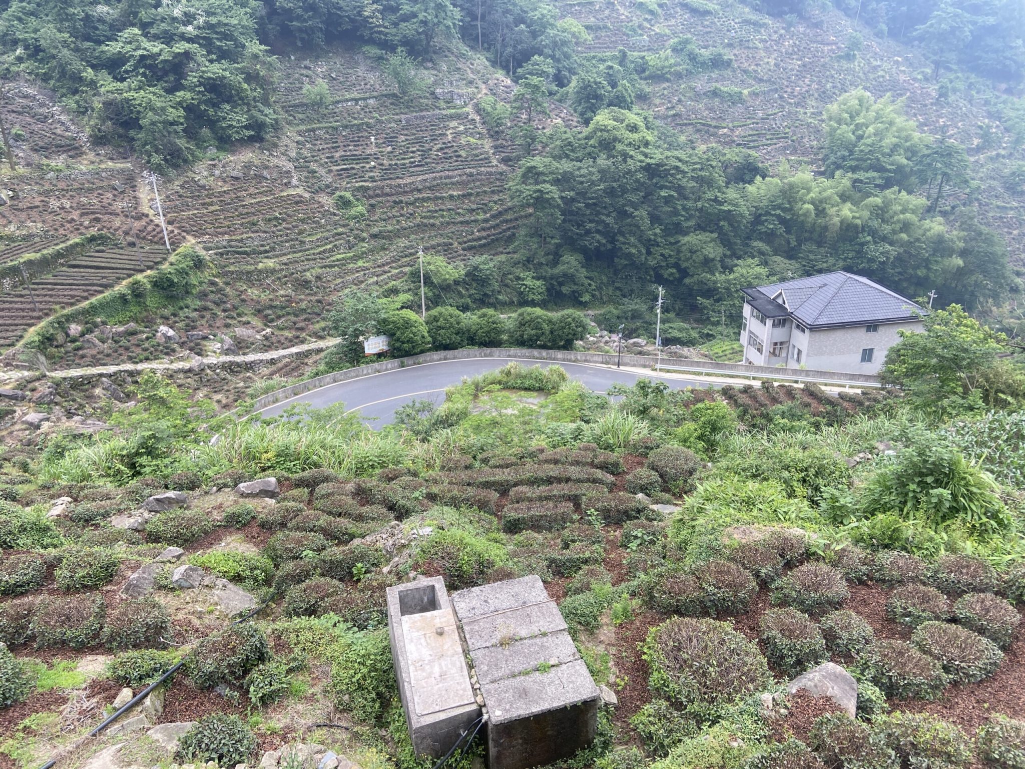 安顶山和同盘顶