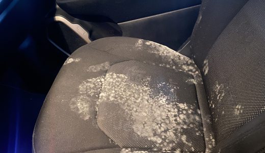 车好久没开，居然发霉了