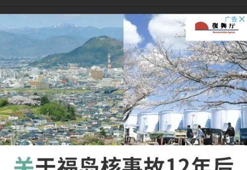 谷歌广告跟小日本狼狈为奸，真恶心。