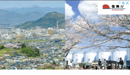 谷歌广告跟小日本狼狈为奸，真恶心。