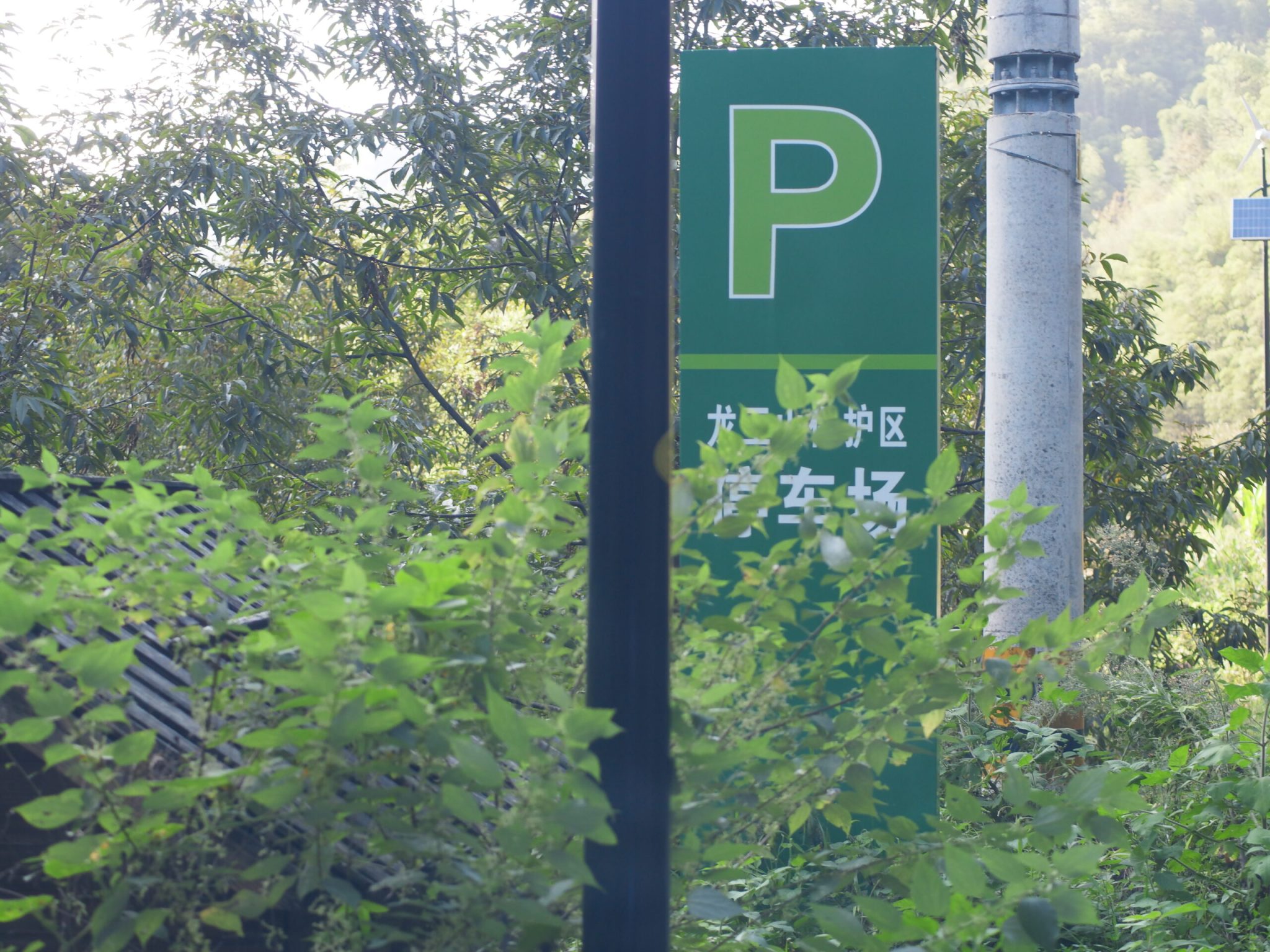 湖州市龙王山