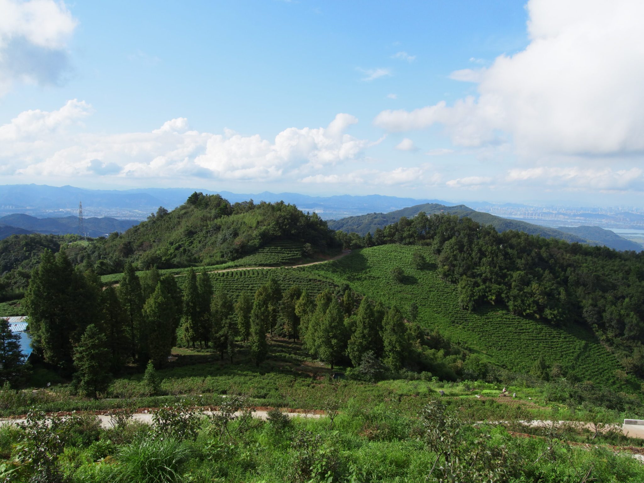 杭州市萧山区同盘顶