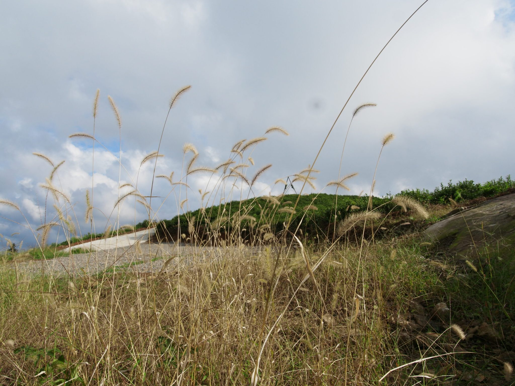 杭州市萧山区同盘顶
