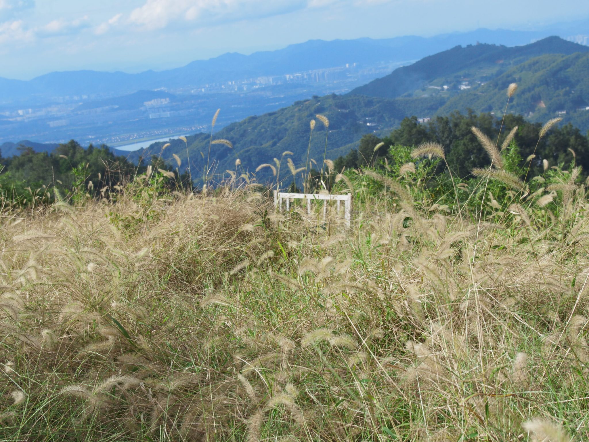 杭州市萧山区同盘顶