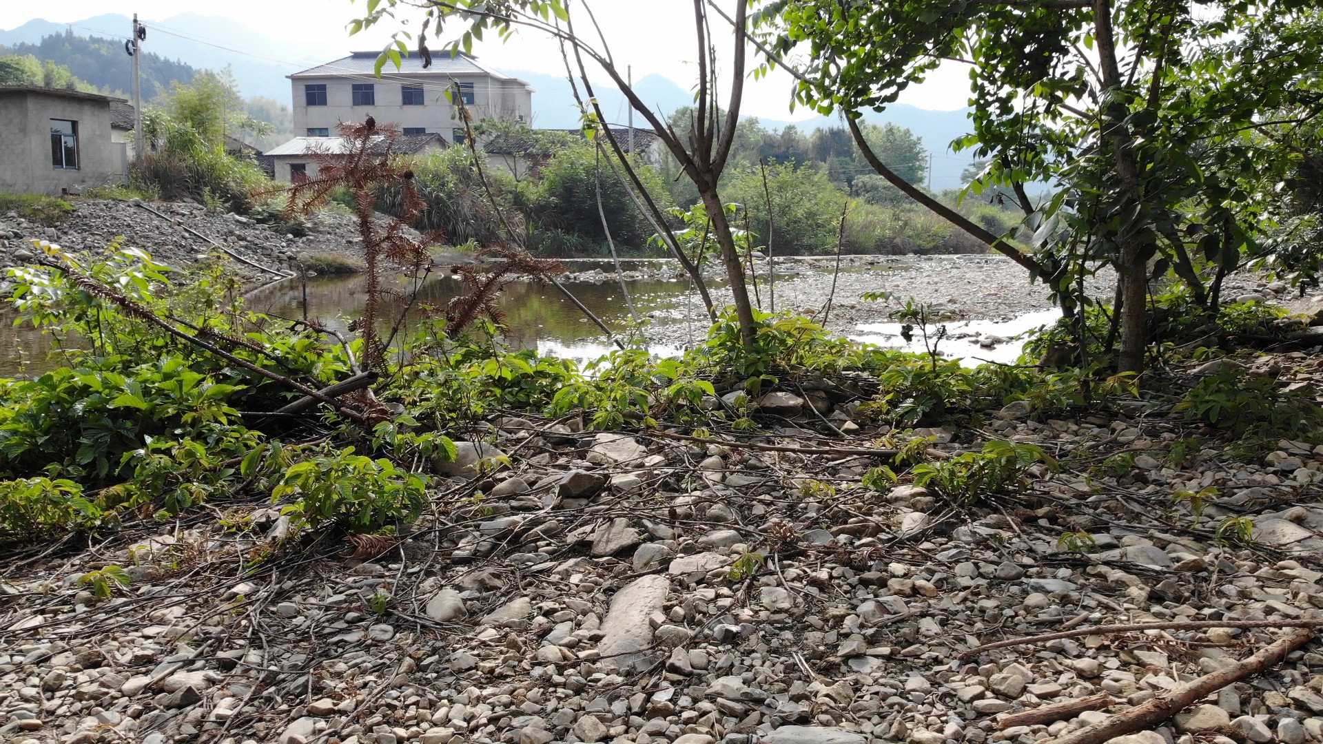 三清山生态养殖基地