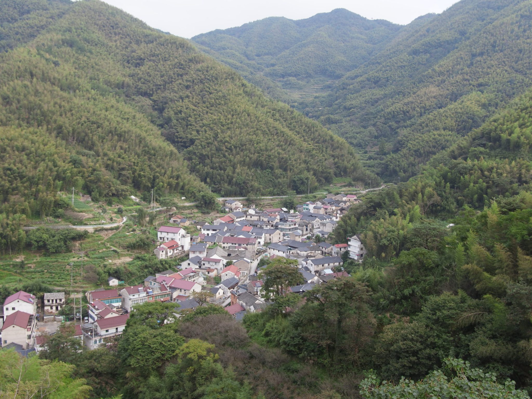 王崇线