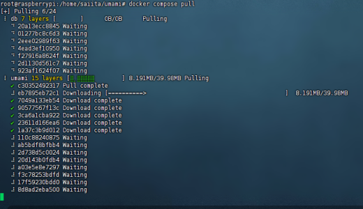 Umami+docker 升级