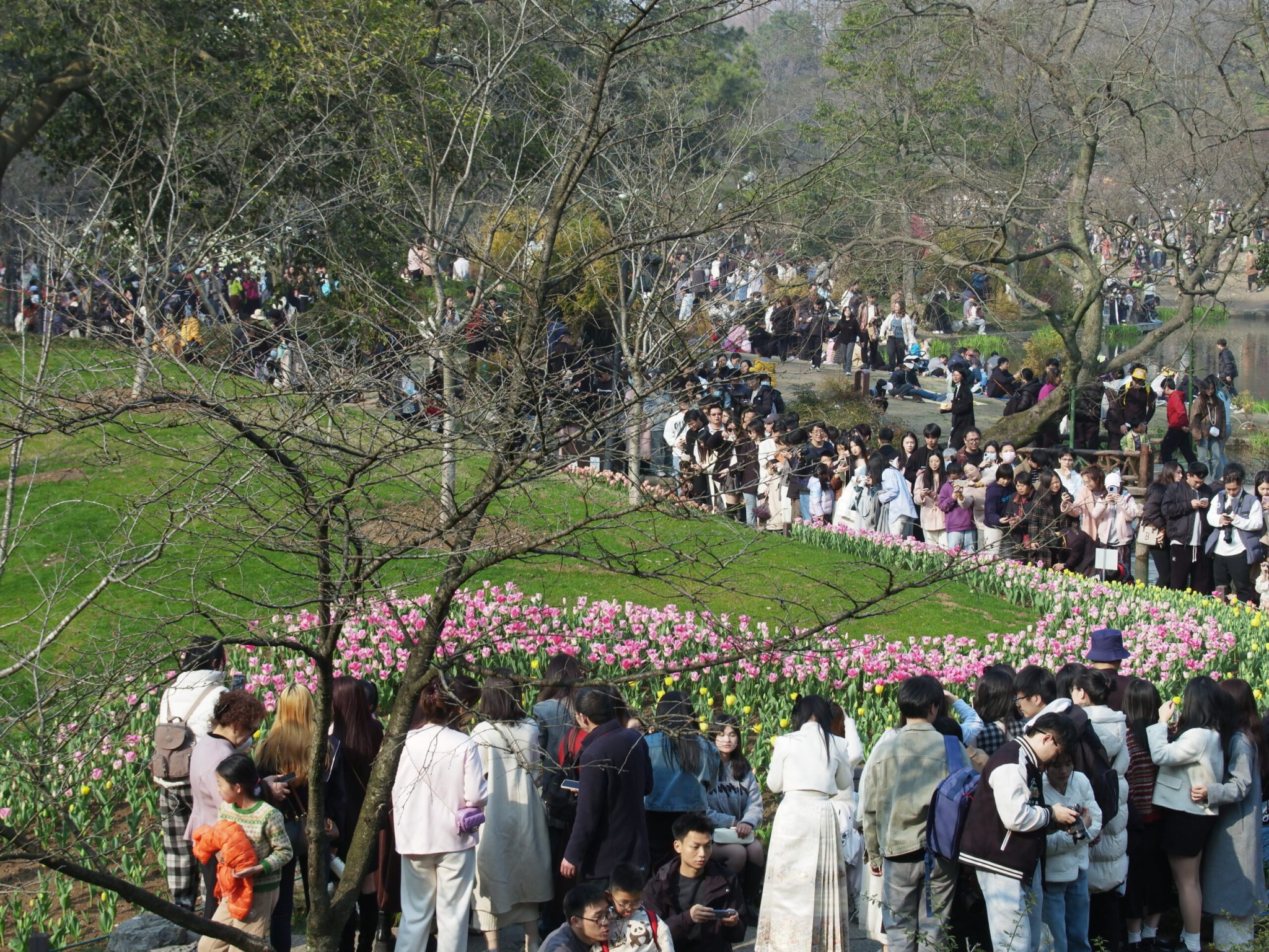 杭州西湖-太子湾