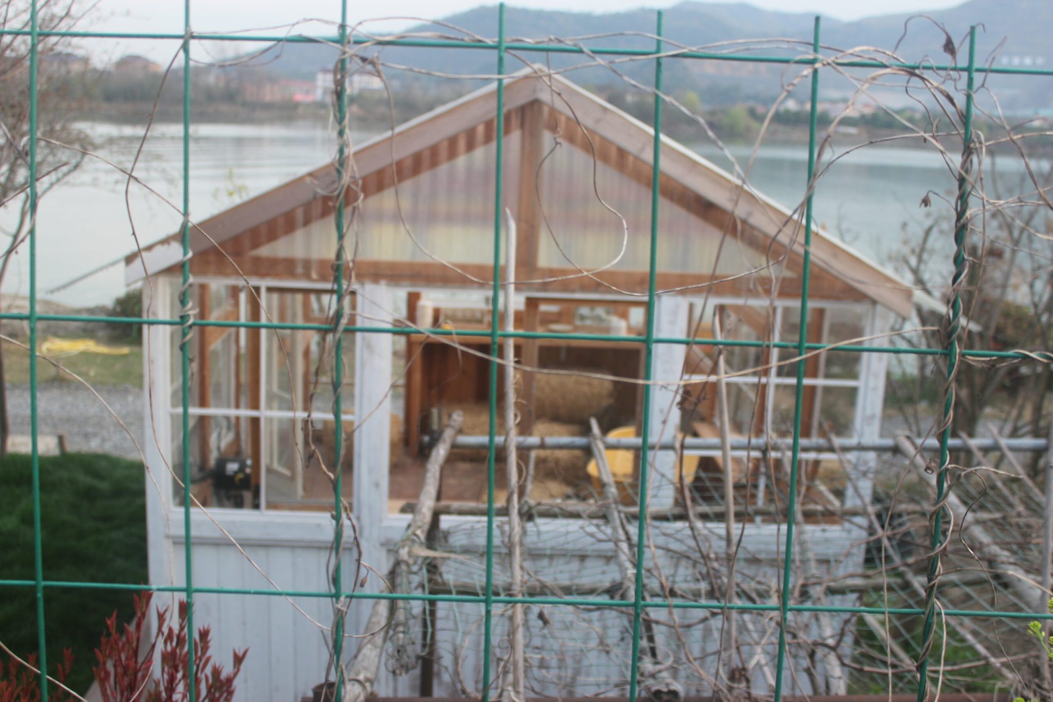 五丰岛摄影基地