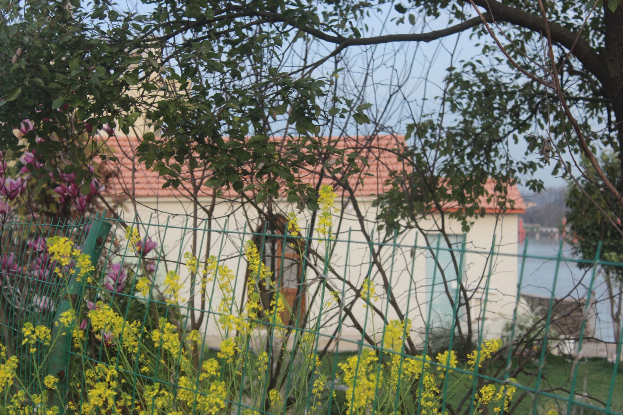 五丰岛摄影基地