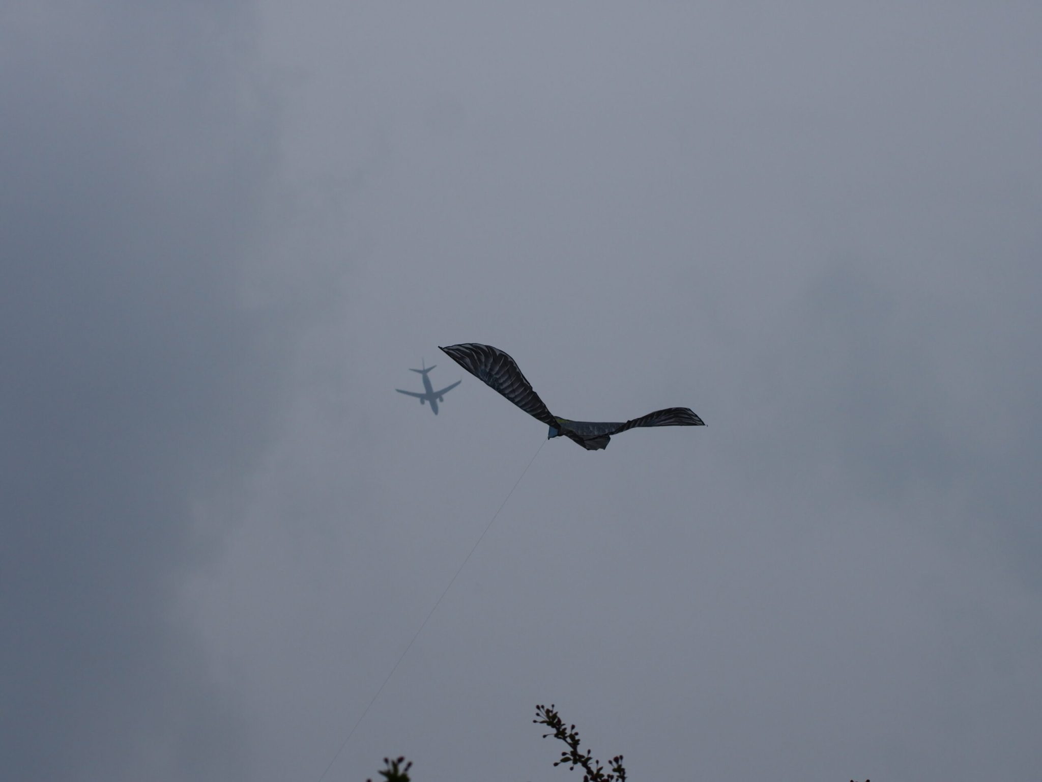 南江公园-飞机和风筝