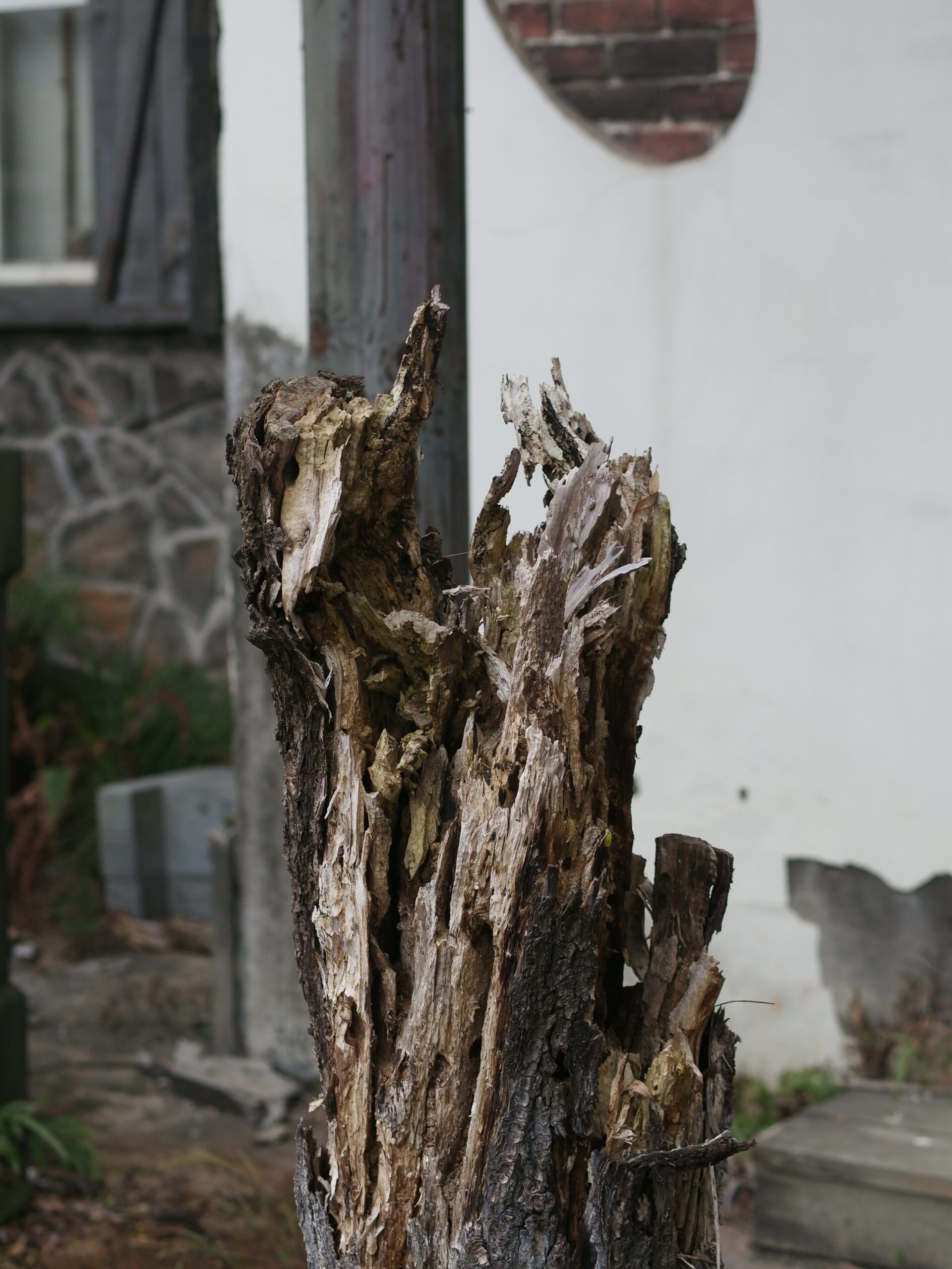 杭州萧山烂苹果乐园