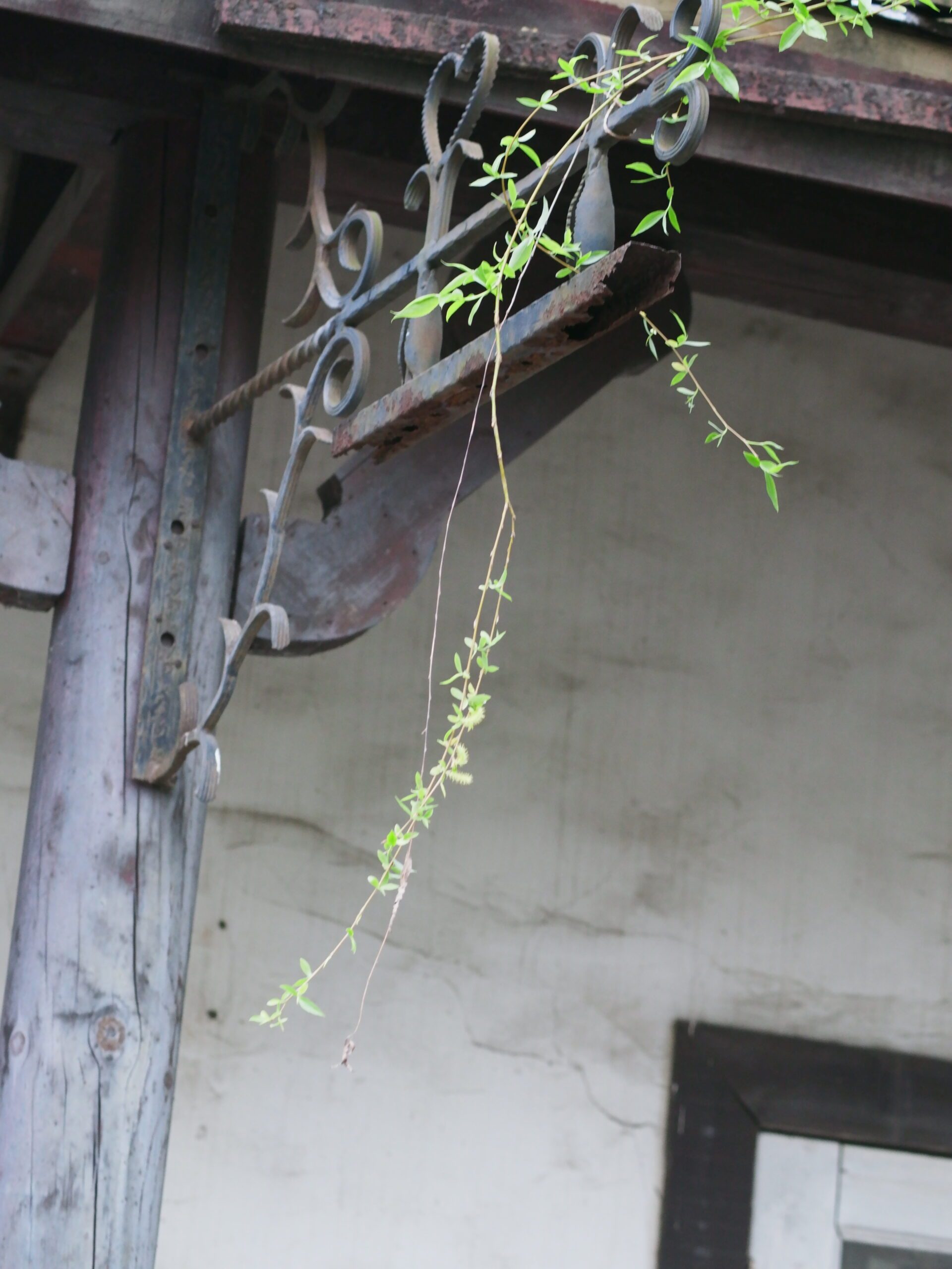 杭州萧山烂苹果乐园