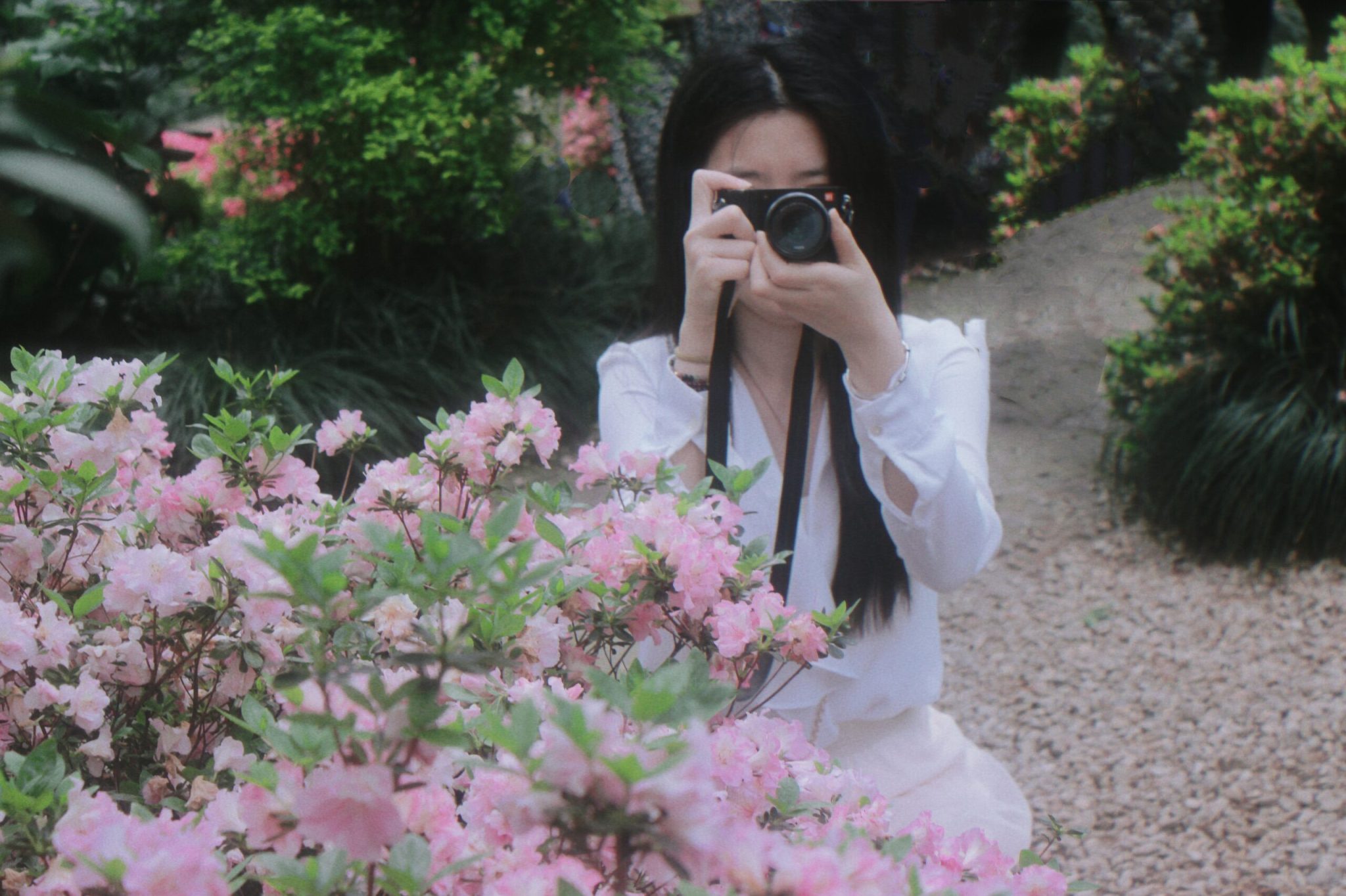临平公园-杜鹃花-莫奈花园