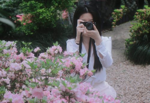 临平公园 -杭州看杜鹃花的好地方！