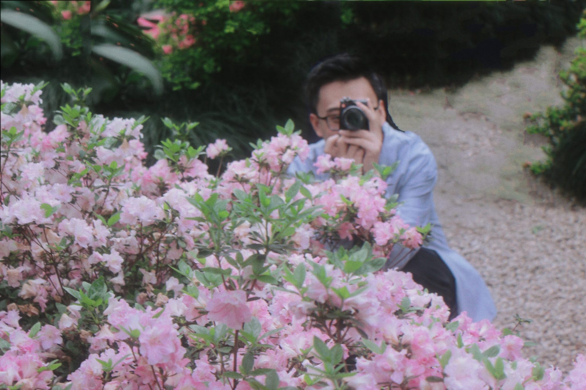 临平公园-杜鹃花-莫奈花园