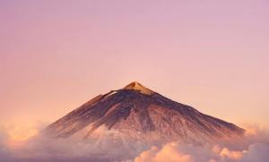 记录下wordpress 主题地址官网和Erphpdown 插件下载地址